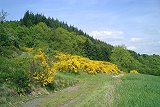 Wandern rund um Neuerburg