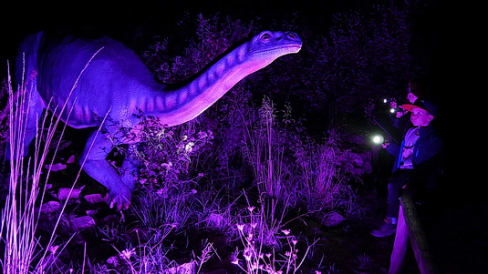 Taschenlampen Abenteuer1 k