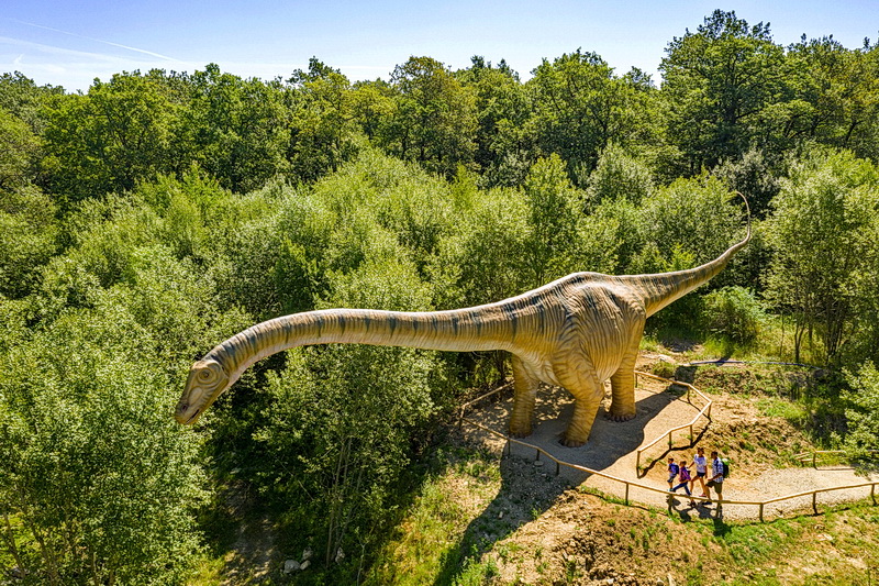 2019 049 Dinopark Teufelsschlucht Seismosaurus FotoDominikKetz