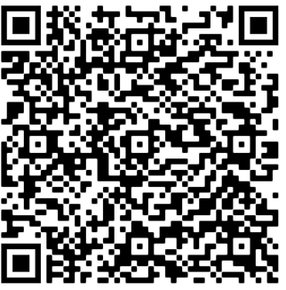 QR Code SWF