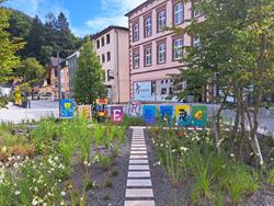 WhatsApp Image 2025 08 10 at 10.54.00 Copy