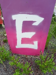 WhatsApp Image 2025 08 10 at 10.54.17 1 1